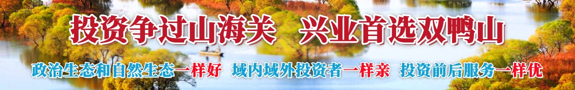 双鸭山经开区宣传图